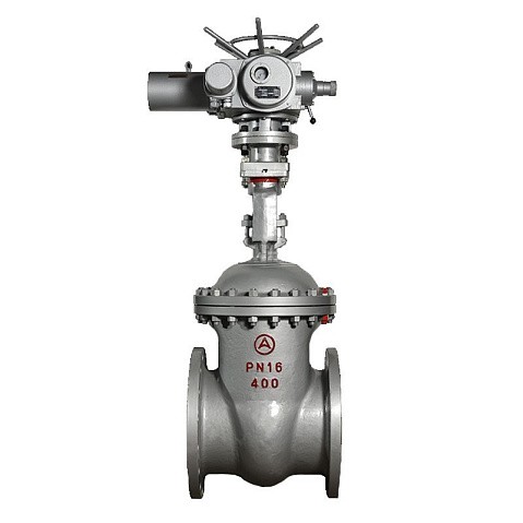 Задвижка стальная 30с941нж DN 600 PN 16 фланцевая под привод тип Г, класс ''А'' L=800мм САЗ АВАНГАРД купить в Санкт-Петербурге | "Проконсим"
