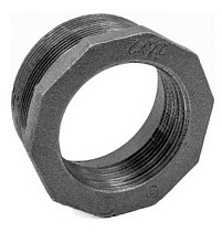 Футорки чугунные DN 20-50 PN 16 штуцер-муфта Fittex Plus купить в Санкт-Петербурге | "Проконсим"