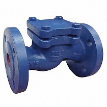 Клапаны обратные подъемные DN 15-200 PN 16 чугунные фланцевые до 250гр. АСТА ОК113 купить в Санкт-Петербурге | "Проконсим"
