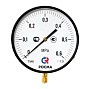 Манометр Росма ТМ-810Р.00 котловый, 250мм, 0-60кгс/см2, резьба M20x1,5, радиальный, класс точности 1,5 купить в Санкт-Петербурге | "Проконсим"