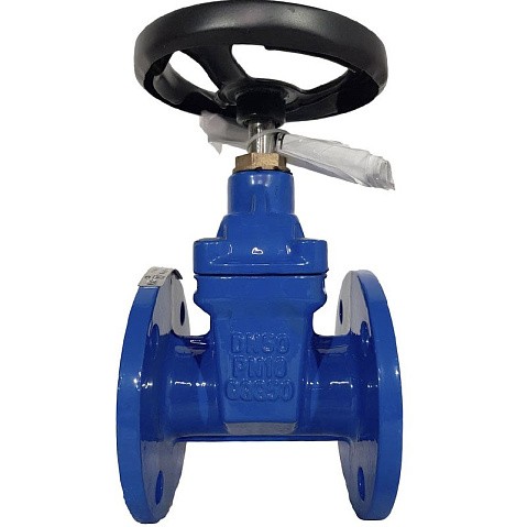 Задвижка чугунная 30ч39р DN 50 PN 10(16) с обрезиненным клином EPDM до 120гр. фланцевый ручной СИБЗТА купить в Санкт-Петербурге | "Проконсим" (930130200)