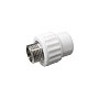Муфта комбинированная ПП 20-1/2'' PN 25 с наружной резьбой белая VALFEX Pro купить в Санкт-Петербурге | "Проконсим"