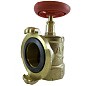 Клапан пожарный латунный КПАЛ DN 50 PN 16 угловой 90гр. муфта-соединительная головка Апогей купить в Санкт-Петербурге | "Проконсим"