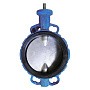 Затворы поворотные дисковые DN 200-800 PN 16 межфланцевые с голым штоком Seagull купить в Санкт-Петербурге | "Проконсим"