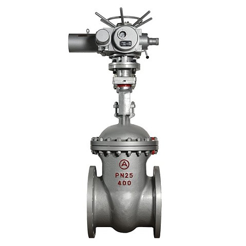 Задвижка стальная 30с964нж DN 600 PN 25 фланцевая под привод тип Г, класс ''А'' L=800мм САЗ АВАНГАРД купить в Санкт-Петербурге | "Проконсим"