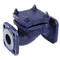 Клапаны обратные 16кч9нж подъёмные DN32-80 PN25 нержавеющая сталь фланцевые до 300гр. ЛУИДОР купить в Санкт-Петербурге | "Проконсим"