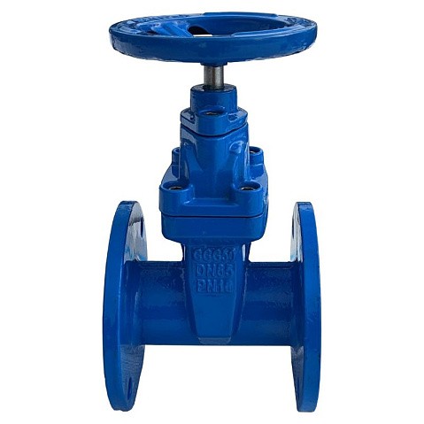 Задвижка чугунная 30ч39р DN 600 PN 16 с обрезиненным клином EPDM до 120гр. КНР купить в Санкт-Петербурге | "Проконсим" (101469038)
