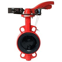 Затворы чугунные дисковые DN 50-250 PN 16 межфланцевые с концевиками и чугунным диском рычаг РАШВОРК купить в Санкт-Петербурге | "Проконсим"