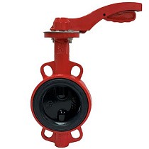 Затворы чугунные дисковые DN 50-100 PN 16 с электроприводом 24В и чугунным диском РАШВОРК купить в Санкт-Петербурге | "Проконсим"