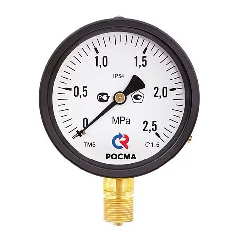 Манометр общетехнический Росма ТМ-510Р.00, до 1МПа M20x1,5, 100мм, радиальное присоединение, класс точности 1.5, IP54 купить в Санкт-Петербурге | "Проконсим" Манометр общетехнический Росма ТМ-510Р.00, до 1МПа M20x1,5, 100мм, радиальное присоединение, класс точности 1.5, IP54 купить в Санкт-Петербурге | "Проконсим"