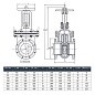 Задвижка чугунная 30ч6бр DN 50 PN 16(10) фланцевая параллельная ЛМЗ Семенов купить в Санкт-Петербурге | "Проконсим"