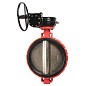 Затвор дисковый поворотный DN 600 PN 16 межфланцевый с диском из чугуна уплотнение-EPDM редуктор Рашворк 200 купить в Санкт-Петербурге | "Проконсим"