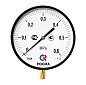 Манометр Росма ТМ-810Р.00 котловый, 250мм, 0-6кгс/см2, резьба M20x1,5, радиальный, класс точности 1,5 купить в Санкт-Петербурге | "Проконсим" Манометр Росма ТМ-810Р.00 котловый, 250мм, 0-6кгс/см2, резьба M20x1,5, радиальный, класс точности 1,5 купить в Санкт-Петербурге | "Проконсим"