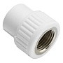 Муфта комбинированная ПП 20-1/2'' PN 25 с внутренней резьбой белая VALFEX  купить в Санкт-Петербурге | "Проконсим"