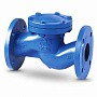 Клапан обратный подъемный фланцевый FAF 2250, DN 32, PN 16 корпус-чугун, диск-нержавеющаясталь, уплотнение-нержавеющая сталь купить в Санкт-Петербурге | "Проконсим"